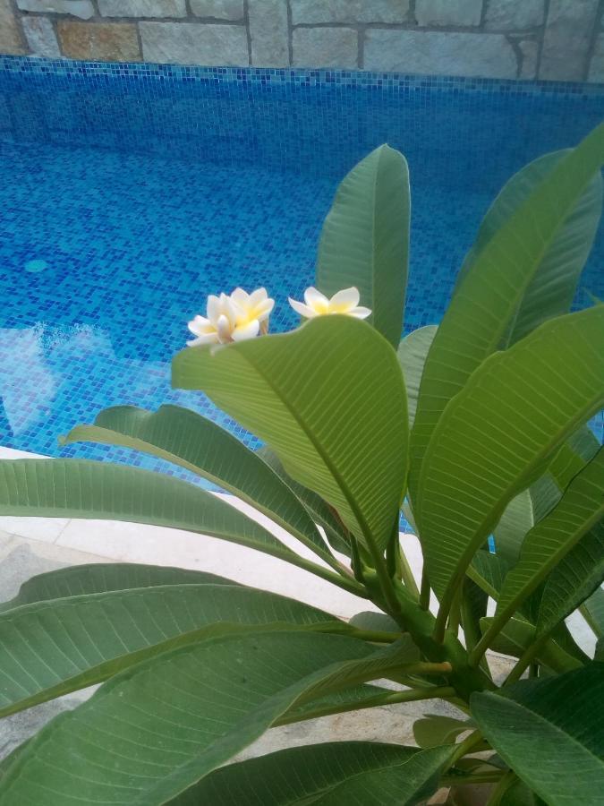 “Theeporto” Maisonette With Pool Γούβες Εξωτερικό φωτογραφία